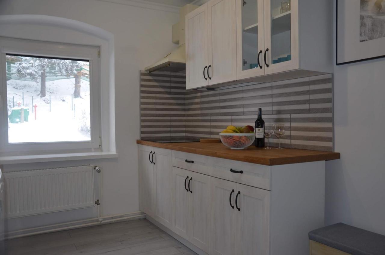 Apartmán Apartament Przy Skwerku Sklářská Poruba Exteriér fotografie